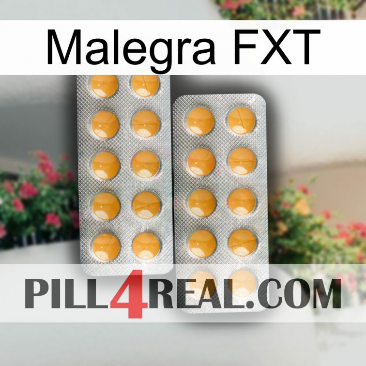 Malegra FXT levitra2